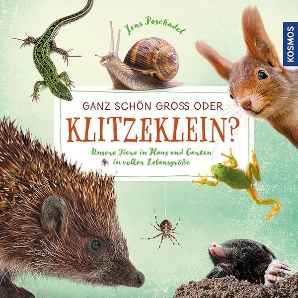 Ganz schön groß oder klitzeklein? Unsere Tiere in Haus und Garten in voller Lebensgröße